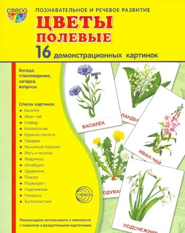 Т. Цветкова - Демонстрационные картинки "Цветы полевые" (173х220 мм) Т. Цветкова - Демонстрационные картинки "Цветы полевые" (173х220 мм) обложка книги
