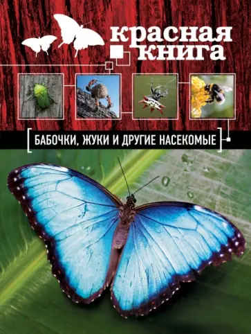 Ольга Харькова - Красная книга. Бабочки, жуки и другие насекомые обложка книги