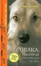 Дьюно Стив