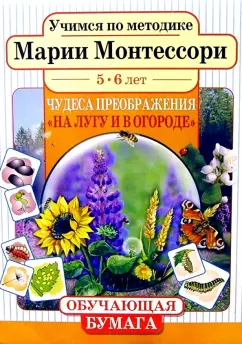 Обложка книги Чудеса преображения 