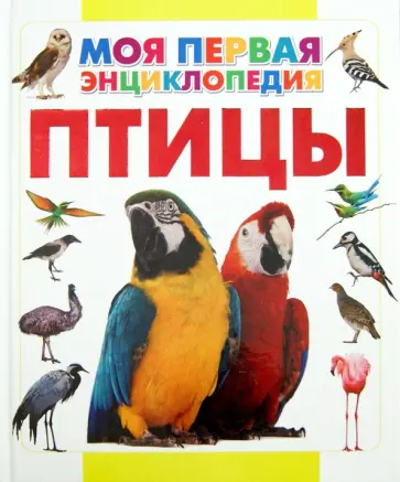 Дмитрий Кошевар - Птицы обложка книги