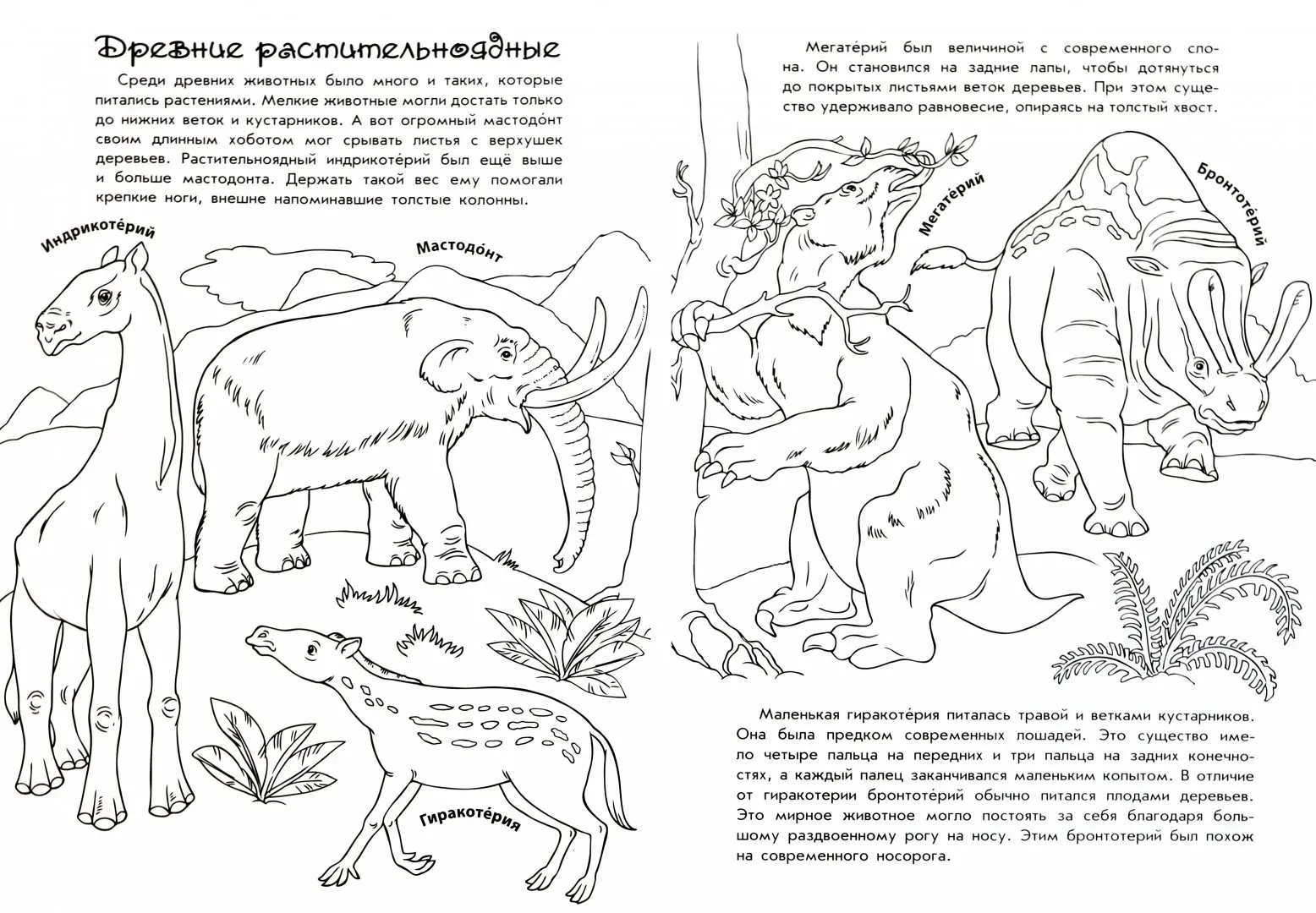 Волшебные раскраски. Мир животных