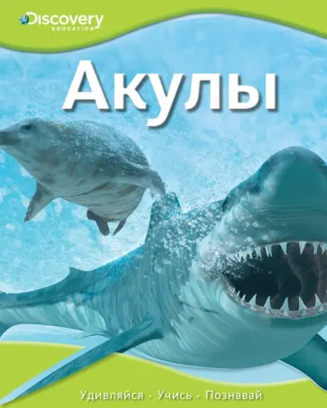 Акулы Акулы обложка книги