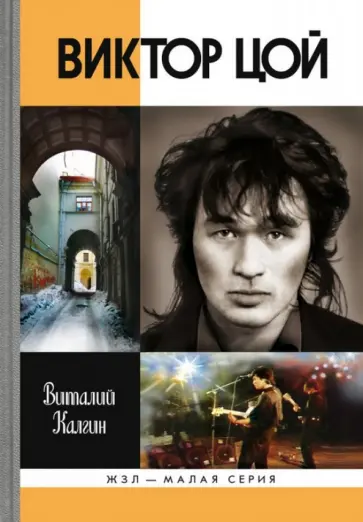 Виталий Калгин - Виктор Цой Виталий Калгин - Виктор Цой обложка книги