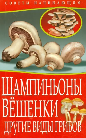 Максим Жмакин - Шампиньоны. Вешенки. Другие виды грибов обложка книги