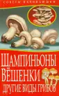 Советы начинающим