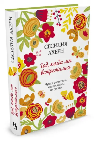 Сесилия Ахерн - Год, когда мы встретились обложка книги