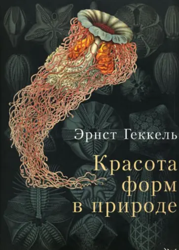 Эрнест Геккель - Красота форм в природе Эрнест Геккель - Красота форм в природе обложка книги