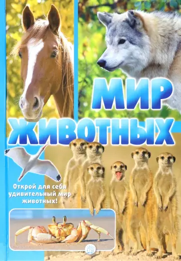 Жан-Батист Панафье - Мир животных. Открой для себя удивительный мир животных! Жан-Батист Панафье - Мир животных. Открой для себя удивительный мир животных! обложка книги