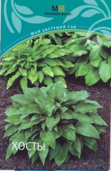 Хосты обложка книги