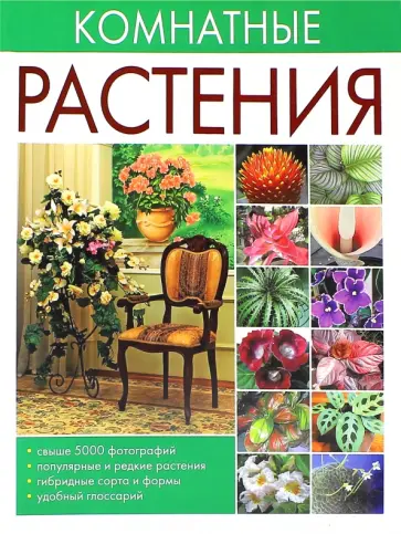 Ольга Сладкова - Комнатные растения Ольга Сладкова - Комнатные растения обложка книги