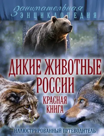 Александр Очеретний - Дикие животные России. Красная книга. Иллюстрированный путеводитель обложка книги
