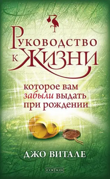 Джо Витале - Руководство к жизни, которое вам забыли выдать при рождении Джо Витале - Руководство к жизни, которое вам забыли выдать при рождении обложка книги