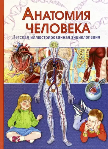 Винченцо Гуиди - Анатомия человека. Детская иллюстрированная энциклопедия Винченцо Гуиди - Анатомия человека. Детская иллюстрированная энциклопедия обложка книги