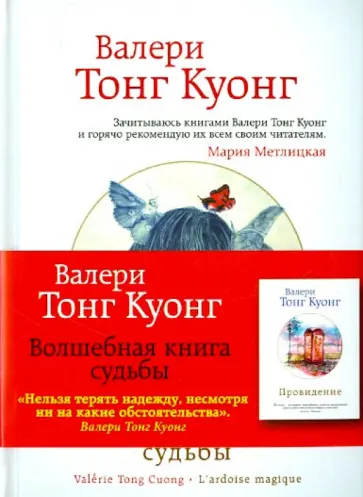 Куонг Тонг - Волшебная книга судьбы Куонг Тонг - Волшебная книга судьбы обложка книги