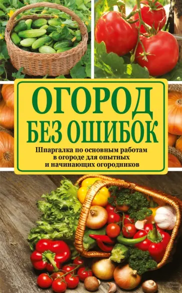 Татьяна Ситникова - Огород без ошибок. Секреты успеха Татьяна Ситникова - Огород без ошибок. Секреты успеха обложка книги