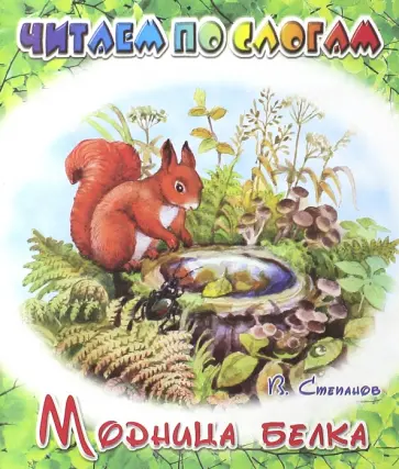 Владимир Степанов - Модница белка Владимир Степанов - Модница белка обложка книги