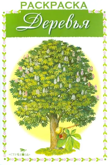 Раскраска. Раскрашиваем и учимся. Деревья обложка книги