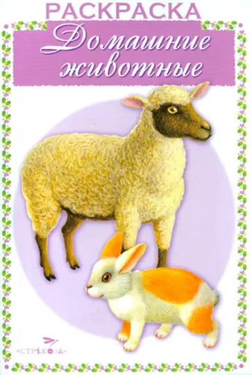 Раскраска. Раскрашиваем и учимся. Домашние животные Раскраска. Раскрашиваем и учимся. Домашние животные обложка книги
