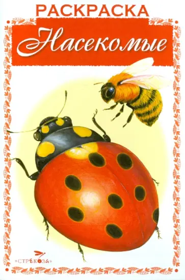 Раскраска. Раскрашиваем и учимся. Насекомые обложка книги