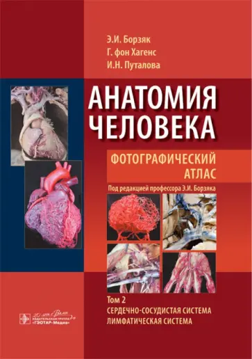 Борзяк, Гунтер - Анатомия человека. Фотографический атлас. В 3-х томах. Том 2. Сердечно-сосудистая система обложка книги
