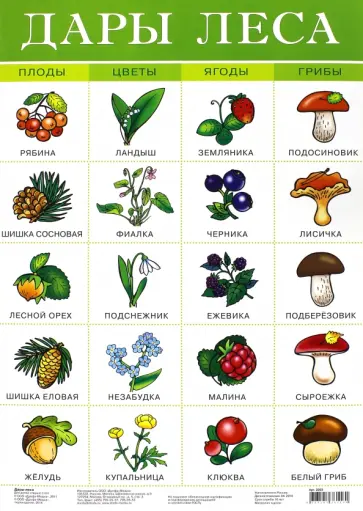 Плакат "Дары леса" (2093) обложка книги