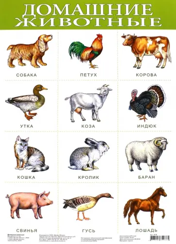Плакат "Домашние животные" (1918) обложка книги