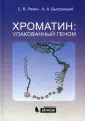Быстрицкий Андрей Александрович