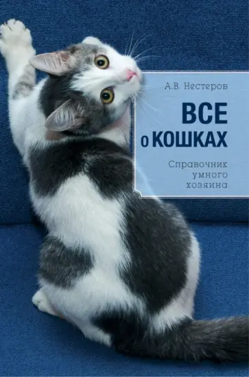 Светлана Дудникова - Все о кошках Светлана Дудникова - Все о кошках обложка книги