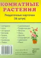 Познавательное и речевое развитие