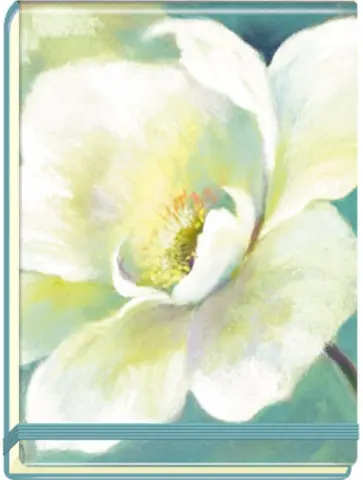 Блокнот "Abstract" (80 листов, А7, в ассортименте) (50224-DС17-KT/AT) Блокнот "Abstract" (80 листов, А7, в ассортименте) (50224-DС17-KT/AT) обложка книги