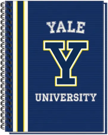 Тетрадь 96 листов, клетка "Blue" (36400-YL/BL) Тетрадь 96 листов, клетка "Blue" (36400-YL/BL) обложка книги