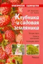 Сырицо Ольга Александровна