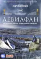 Звягинцев Андрей
