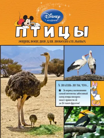 Джинни Джонсон - Птицы Джинни Джонсон - Птицы обложка книги