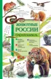 Миниатюра 1