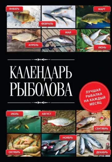 Владимир Казанцев - Календарь рыболова. Лучшая рыбалка на каждый месяц года обложка книги