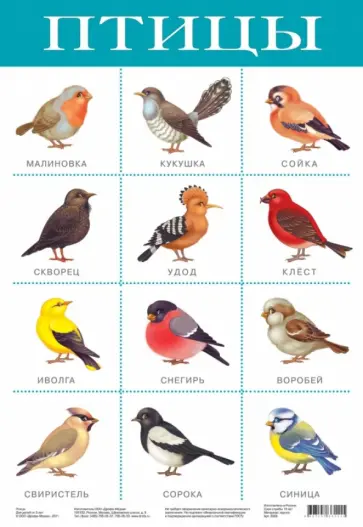 Плакат "Птицы" (2088) обложка книги