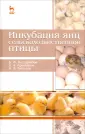 Бессарабов Борис Филиппович