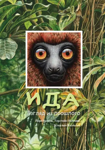 Хюрум, Хеллеве - Ида. Взгляд из прошлого Хюрум, Хеллеве - Ида. Взгляд из прошлого обложка книги