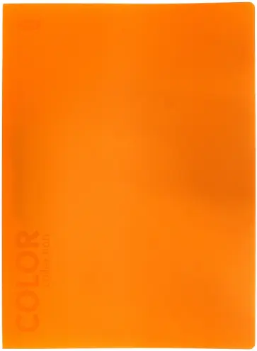 Папка с зажимом "Neon Orange" (85536) Папка с зажимом "Neon Orange" (85536) обложка книги