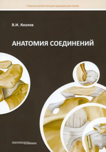 Валентин Козлов - Анатомия соединений обложка книги