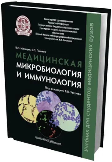 Мальцев, Пашков - Медицинская микробиология и иммунология. Учебник обложка книги