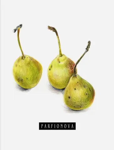 Блокнот для записей "Груши", А5 обложка книги