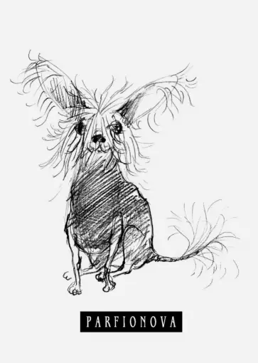 Блокнот для записей "Собачка Соля", А6+ обложка книги