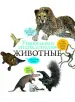 Миниатюра 3