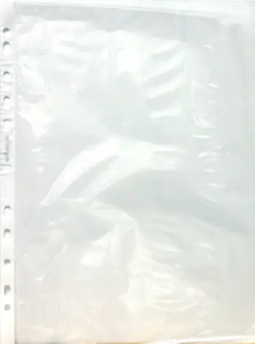 Файл с перфорацией. А4. 1 штука CLASSIC  (255125-00) Файл с перфорацией. А4. 1 штука CLASSIC  (255125-00) обложка книги