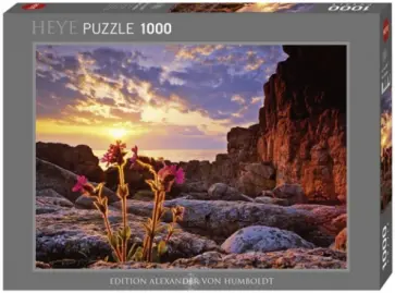 Puzzle-1000 "Красный цветок, Nature" (29671) обложка книги