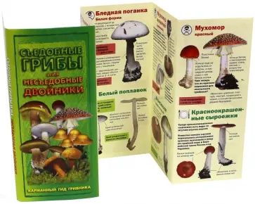 Михаил Вишневский - Съедобные грибы и их несъедобные двойники. Карманный гид грибника обложка книги