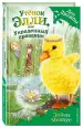 Миниатюра 2